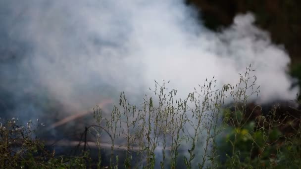 Fuego Salvaje Nube Humo — Vídeo de stock