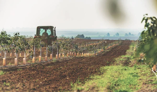 Traktor bewirtschaftet landwirtschaftliche Flächen — Stockfoto