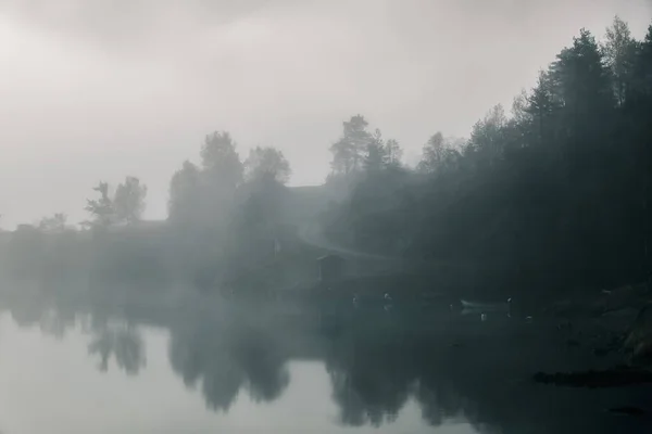 Norwegische Landschaft See Und Bäume Nebel — Stockfoto