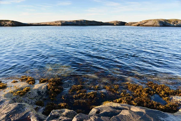 Prachtig Noors Landschap Meer Met Rotsen Zomer — Stockfoto