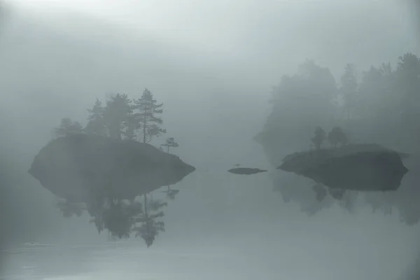 Norská Krajina Jezero Stromy Mlze — Stock fotografie