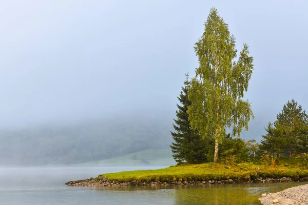 Paisagem Norueguesa Lago Árvores Nevoeiro — Fotografia de Stock