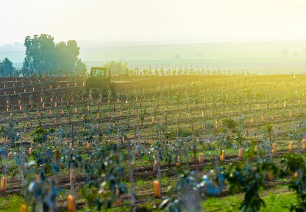 Ländliche Landschaft Traktor Bewirtschaftet Landwirtschaftliche Flächen — Stockfoto