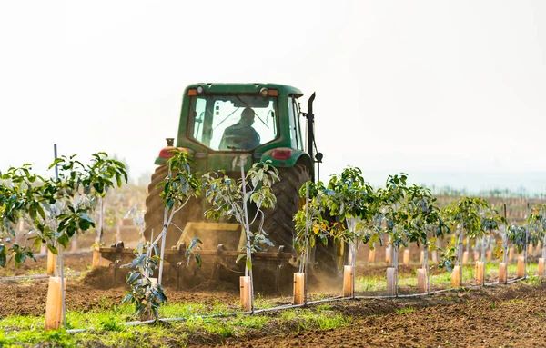 Kırsal Arazi Traktör Tarım Arazisi Yetiştiriyor — Stok fotoğraf