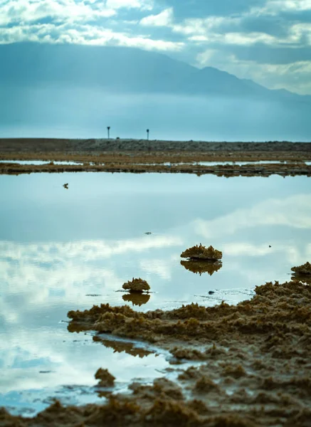 nature landscape, dead sea with salt crystals closeup