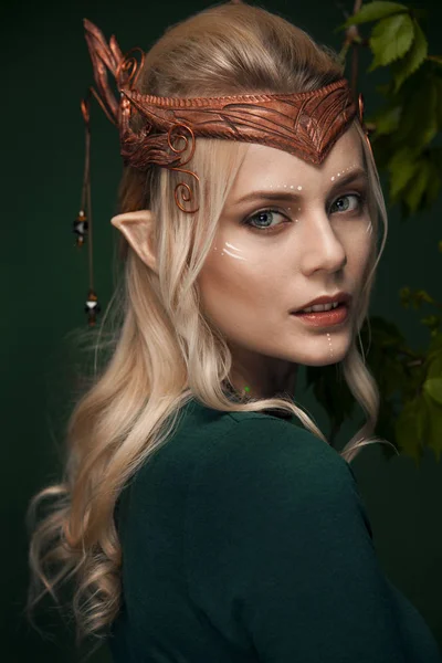 Stylish Picture Beautiful Young Girl Elf — Stock Photo, Image