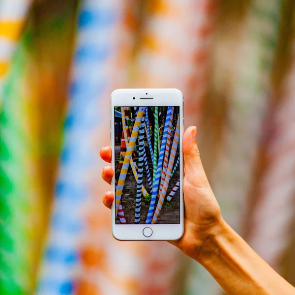 Mobile photography concept. Woman hand holding smartphone and taking photo of flowers and trees on background. Depth of field. Nature concept. Copy space.