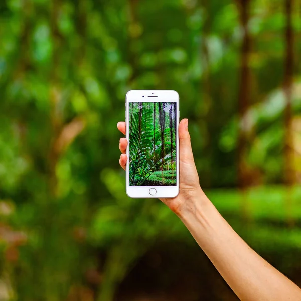 移动摄影概念。妇女手拿着智能手机和照片的花和树木的背景。景深。自然概念。复制空间. — 图库照片