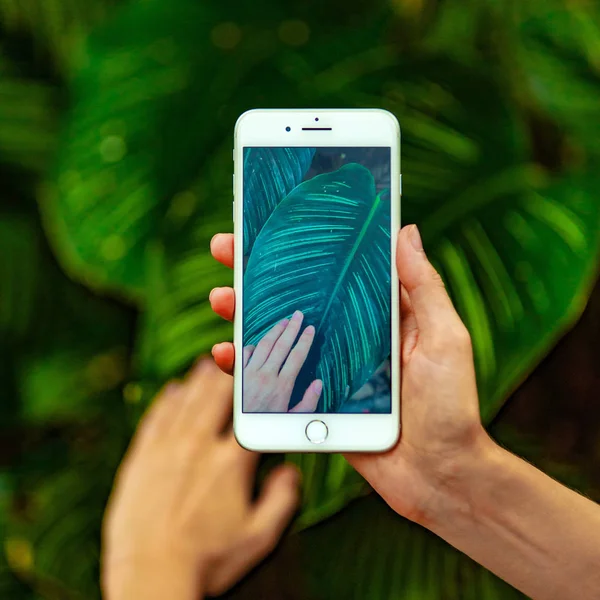 Mobile photography concept. Woman hand holding smartphone and taking photo of flowers and trees on background. Depth of field. Nature concept. Copy space.