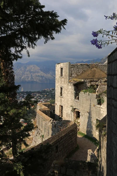 Castillo San Giovanni Kotor Bahía Kotor Boka Kotorska Montenegro — Foto de Stock
