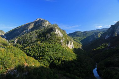 Tara Kanyonu, Durmitor, Karadağ 