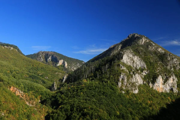 Tara Canyon Durmitor Montenegro — Stockfoto