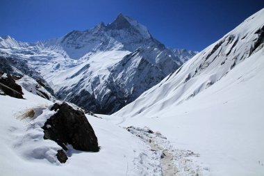 Machhapuchre (Dağların Kraliçesi), Kutsal Tepe, Annapurna Koruma Alanı, Himalayalar, Nepal 