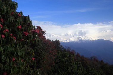 Dhaulagiri Massif, Poon Hill, Himalayalar, Nepal manzaralı