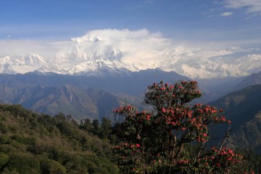 Dhaulagiri Massif, Poon Hill, Himalayalar, Nepal manzaralı