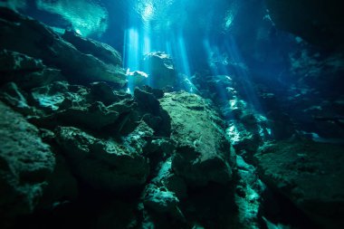 Meksika, Yucatan Yarımadası 'ndaki Chikin Ha Cenote' de suyu delen güneş ışınları.
