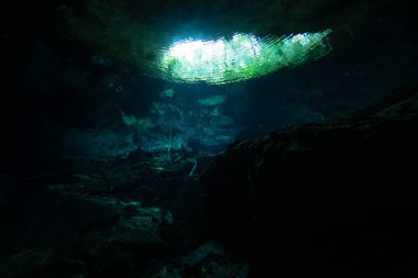 Meksika, Yucatan Yarımadası 'nda Chikin Ha Cenote.