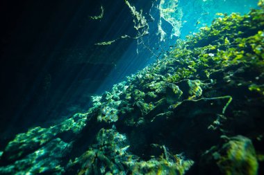 Meksika, Yucatan Yarımadası 'ndaki Nicte Ha Cenote' de suyu delen güneş ışınları.