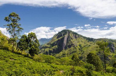 Ella, Sri Lanka - küçük Adam's Peak