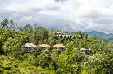 Ella, Sri Lanka - Temmuz 4, 2018: 98 dönüm Resort ve Spa
