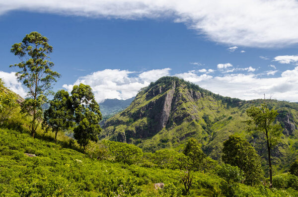 Ella, Sri Lanka - Little Adam 's Peak
