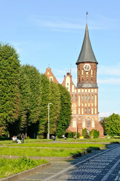 Kaliningrad Russia July 2008 Cathedral — Stock Photo, Image