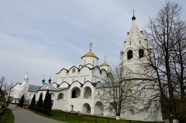 Suzdal Rusia Suzdal 2016 Catedral Santa Virgen — Foto de Stock
