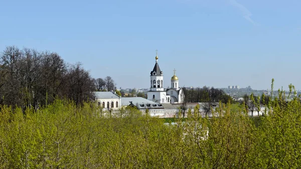 Владимир Росія Травня 2016 Монастир Різдва Богородиці — стокове фото