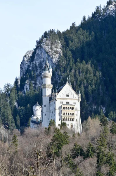 Schwangau Německo Února 2016 Zámek Neuschwanstein — Stock fotografie