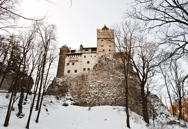 Zemelen Roemenië Januari 2009 Bran Castle — Stockfoto