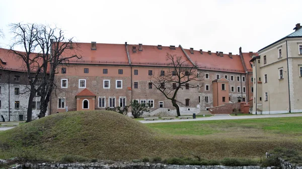 Krakov Polsko Ledna 2013 Hrad Wawel — Stock fotografie