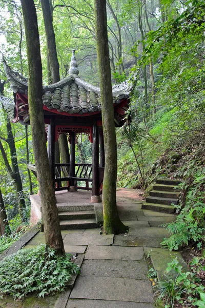 Leshan, Çin - 30 Temmuz 2013: Grand Buddha manzara alanı