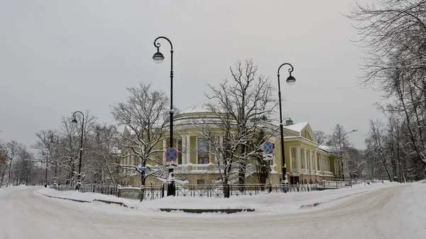 San Petersburgo Rusia Enero 2019 Palacio Kamennoostrovsky — Foto de Stock