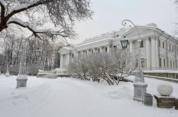俄罗斯圣彼得堡 2019年1月23日 埃拉金宫 — 图库照片