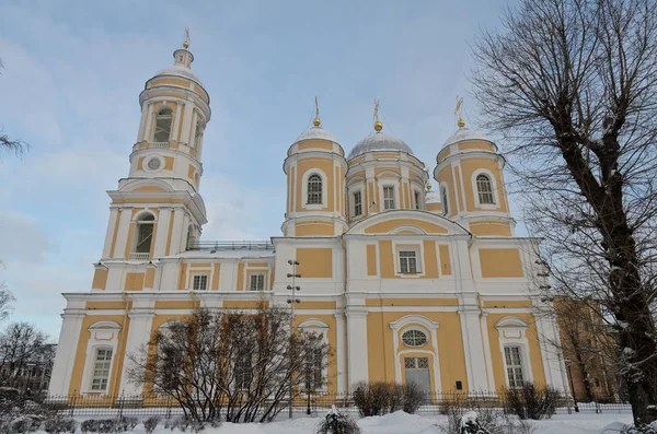 俄罗斯圣彼得堡 2019年1月23日 弗拉迪米尔斯基大教堂 — 图库照片