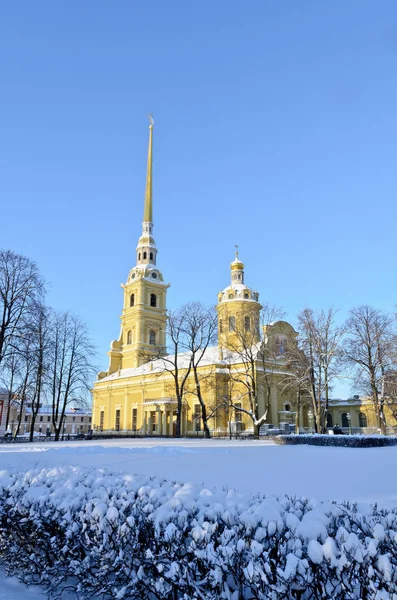 Saint Petersburg Russia January 2019 Peter Paul Cathedral — Stock Photo, Image