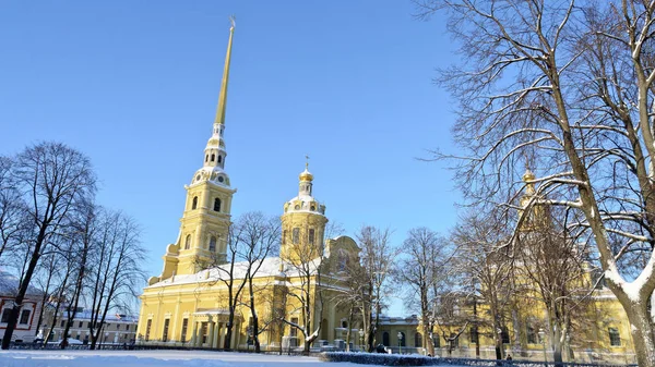 Saint Petersburg Rusya Ocak 2019 Peter Paul Katedrali — Stok fotoğraf