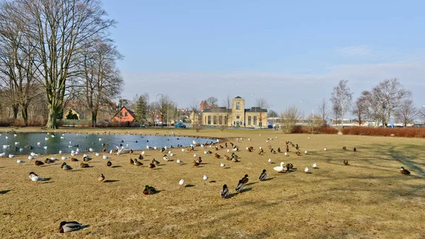 Roskilde Denmark Февраля 2011 Byparken — стоковое фото