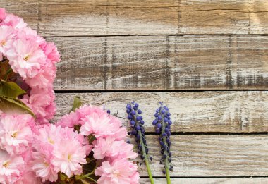 Kırmızı Kiraz çiçeği ile ahşap üzerine iki üzüm sümbül