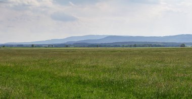 Çayır bahar çiçek, hill ve gökyüzü. Çek manzara