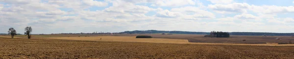 Zobacz Panoramtic Czeskiego Krajobrazu Pola Drzewa — Zdjęcie stockowe