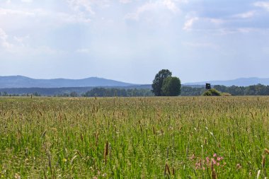 Bahar çayır yüksek koltuk. Çek manzara