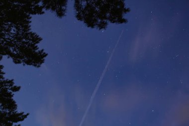Gece gökyüzünde yıldızlar ve ağaç siluet ve yolcu uçağı izi ile