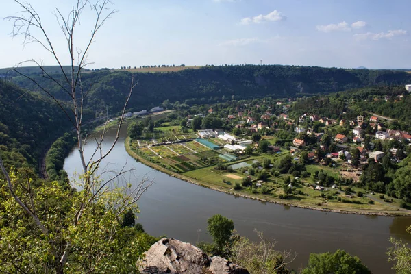 Bonita Vista Desde Colina Rivnac Moldava Meandro Con Árbol —  Fotos de Stock