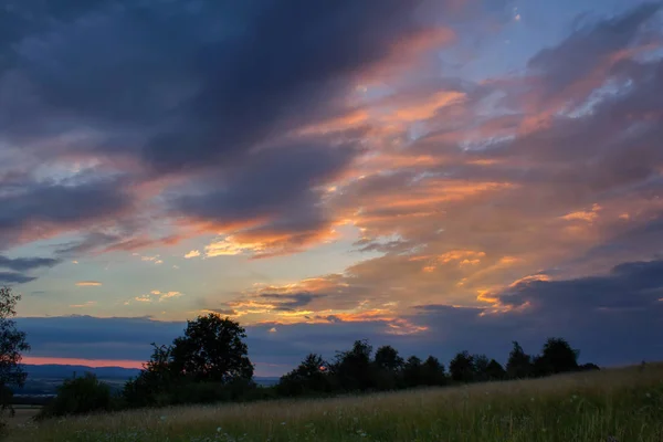 Amazing Zonsondergang Met Bomen Silhouet Weide — Stockfoto