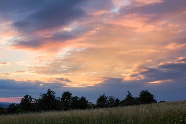 Mooie Zonsondergang Met Bomen Silhouet Weide — Stockfoto