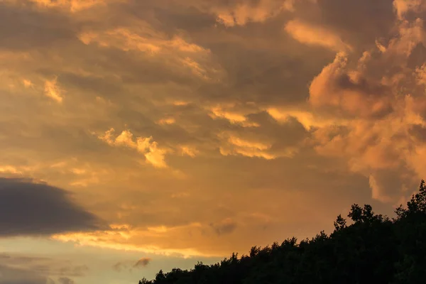 Solnedgången Himmel Med Träd Silhouette Tjeckiska Landskapet — Stockfoto