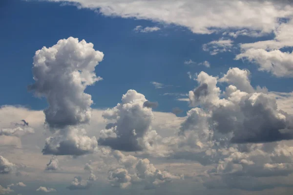 Belle Nuvole Cumulus Bianco Sul Cielo Blu — Foto Stock