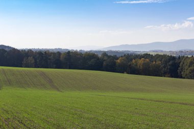 Alan, çayır ve ağaçlar, sonbahar çek manzara