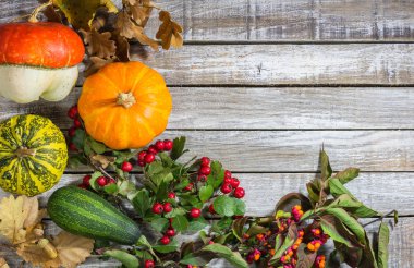 Dekoratif brier, ahşap arka plan üzerinde meşe palamudu kabak